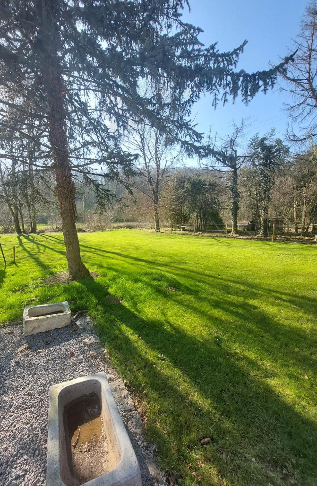 Au Doux Chardon Bed & Breakfast Durbuy Luaran gambar
