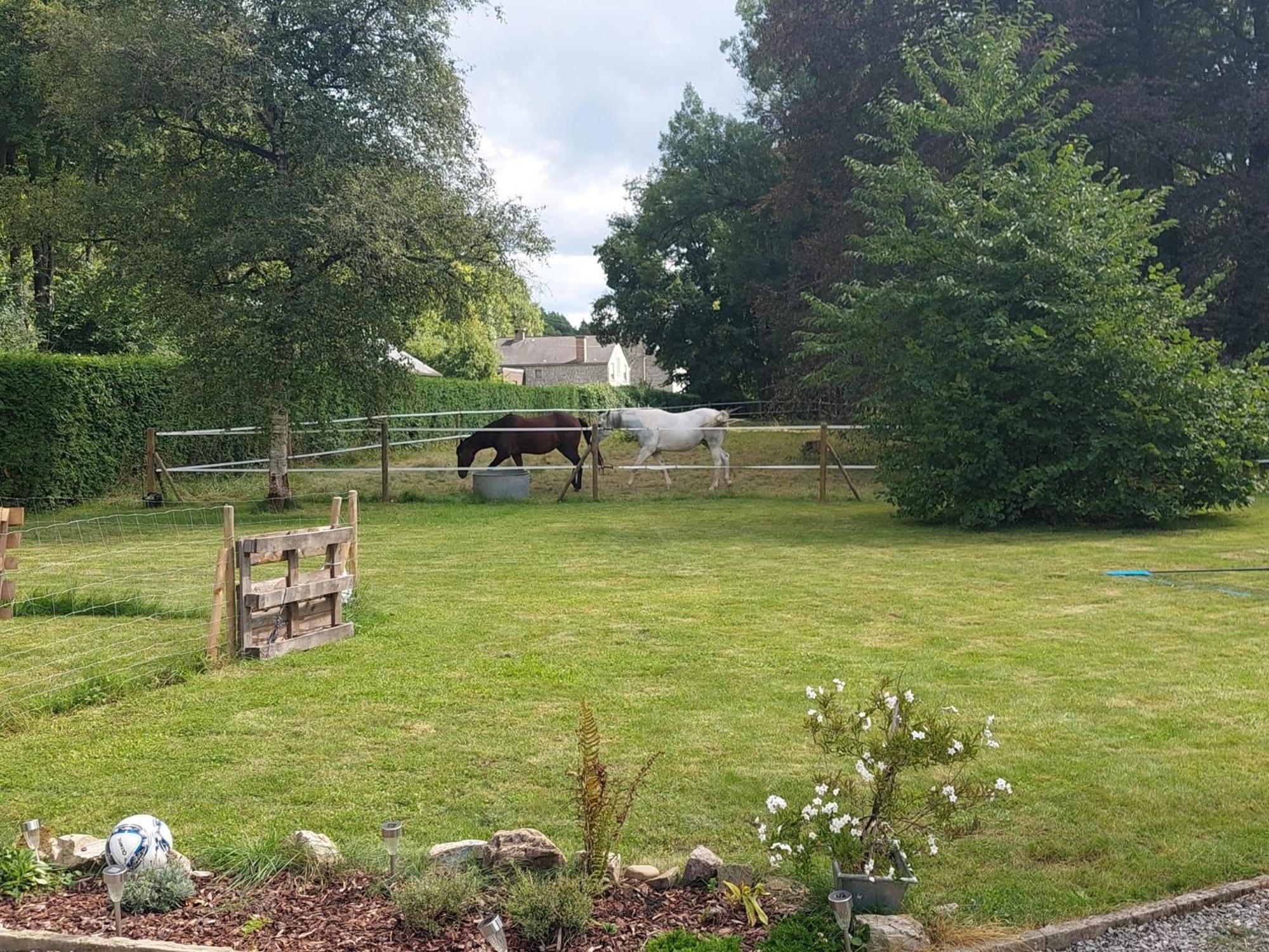 Au Doux Chardon Bed & Breakfast Durbuy Luaran gambar